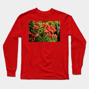 Blood red back lit Poppies Long Sleeve T-Shirt